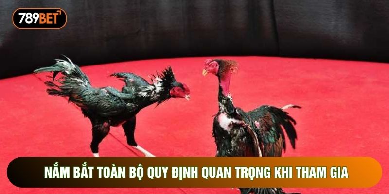 Nắm bắt toàn bộ quy định quan trọng khi tham gia Nắm bắt toàn bộ quy định quan trọng khi tham gia